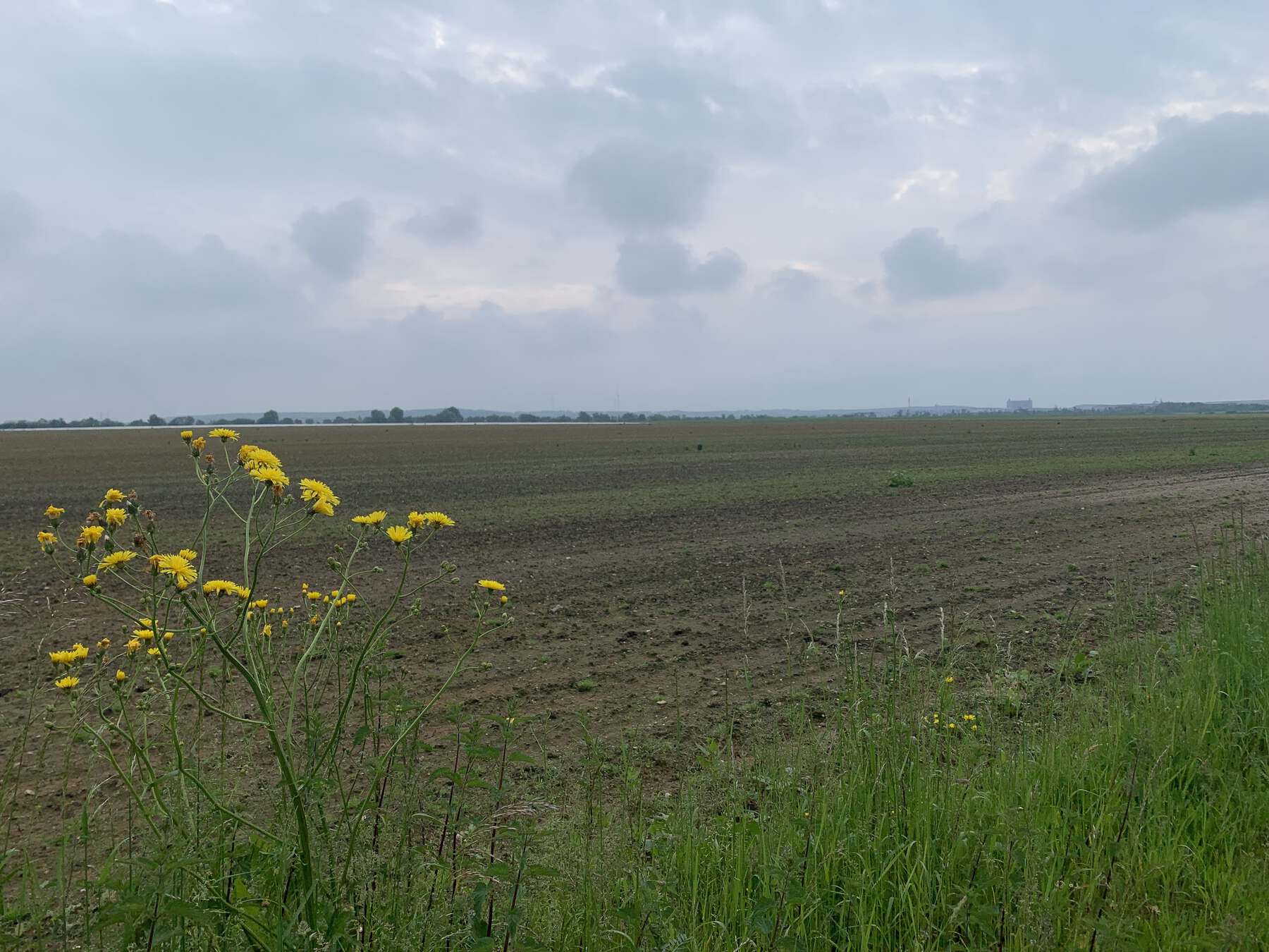 Ehemaliges Braunkohlengebiet